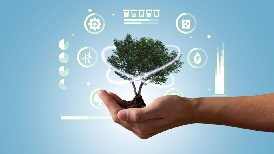 Creative Group Earns Top Sustainability Score in Climate Benchmarking