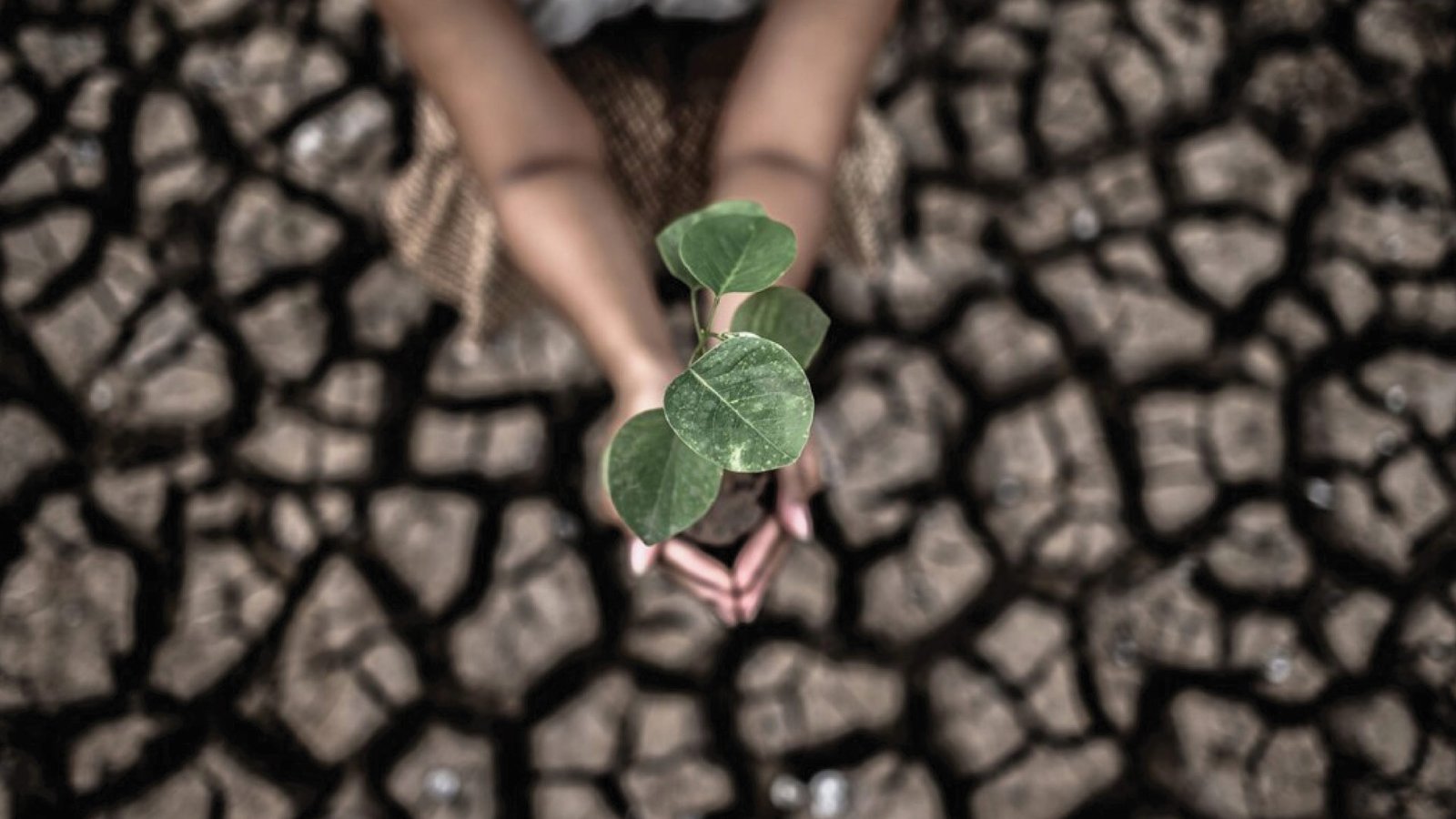 Geared for GREEN