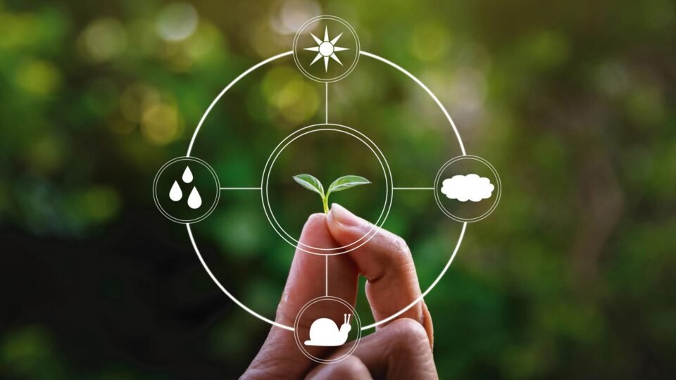 Warrior Publishes 2024 Sustainability Report