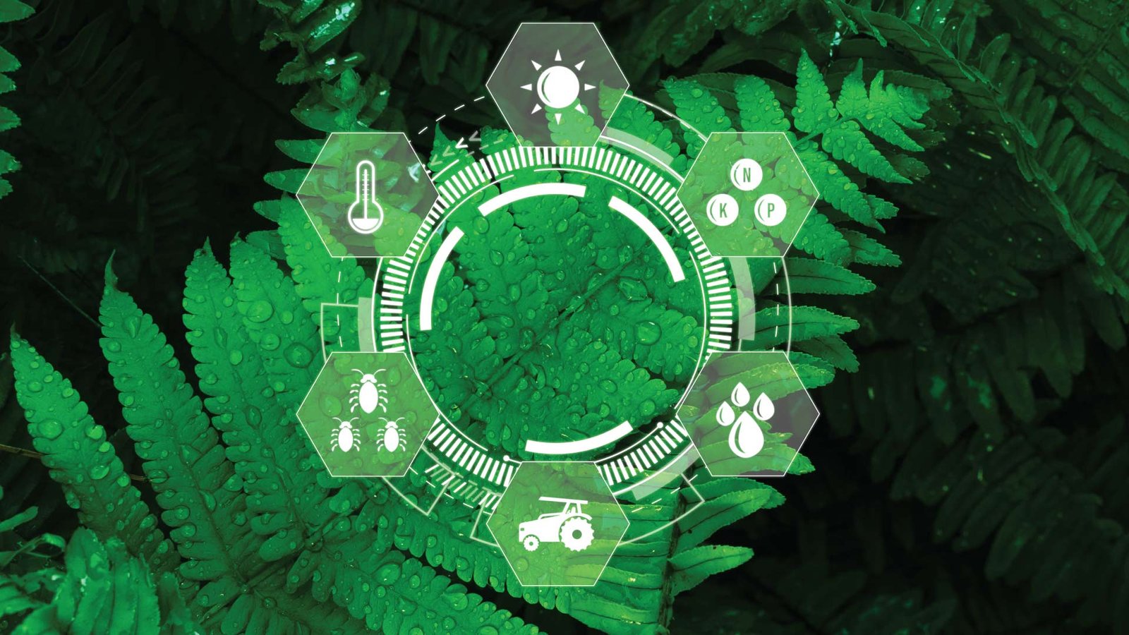 Earth AI Identifies 6 New Tungsten, Cobalt, Gold Prospects