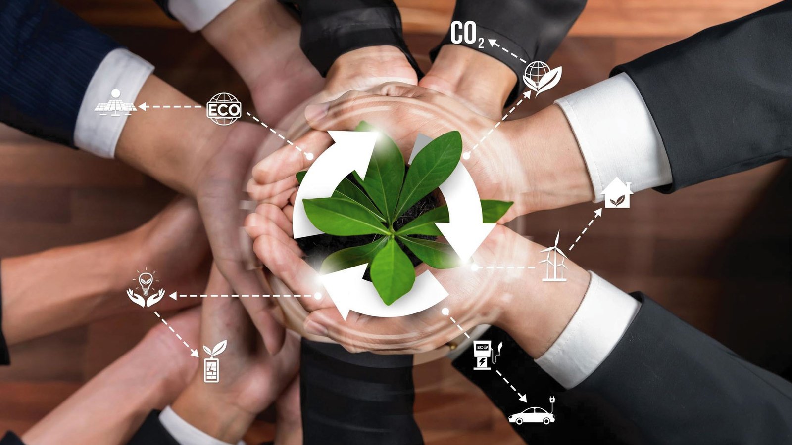 Sun Life Wins USA Today Crystal Award for 5th Consecutive Year