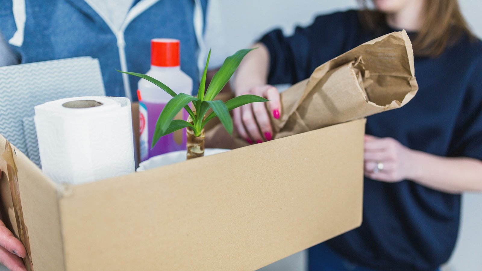 Ranpak Expands Global Reach with Sustainable Packaging Deal