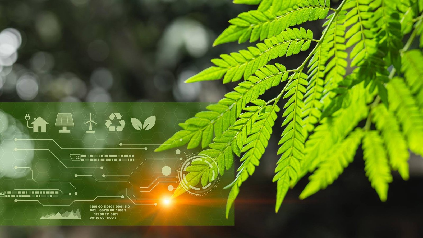 Anew Climate