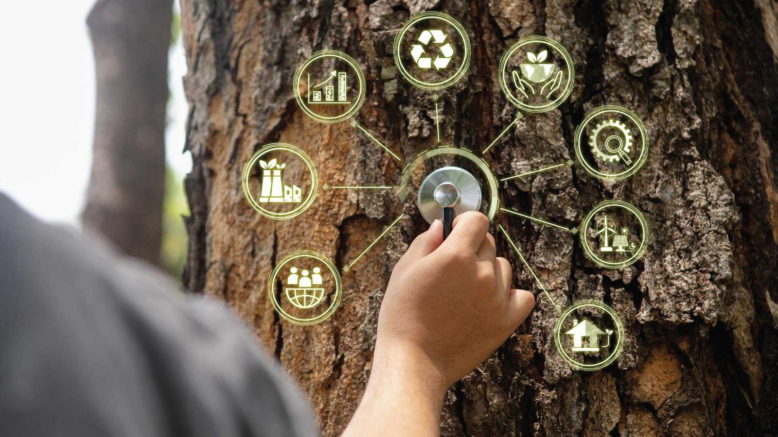 The Importance of Climate Adaptation in Combatting Global Warming