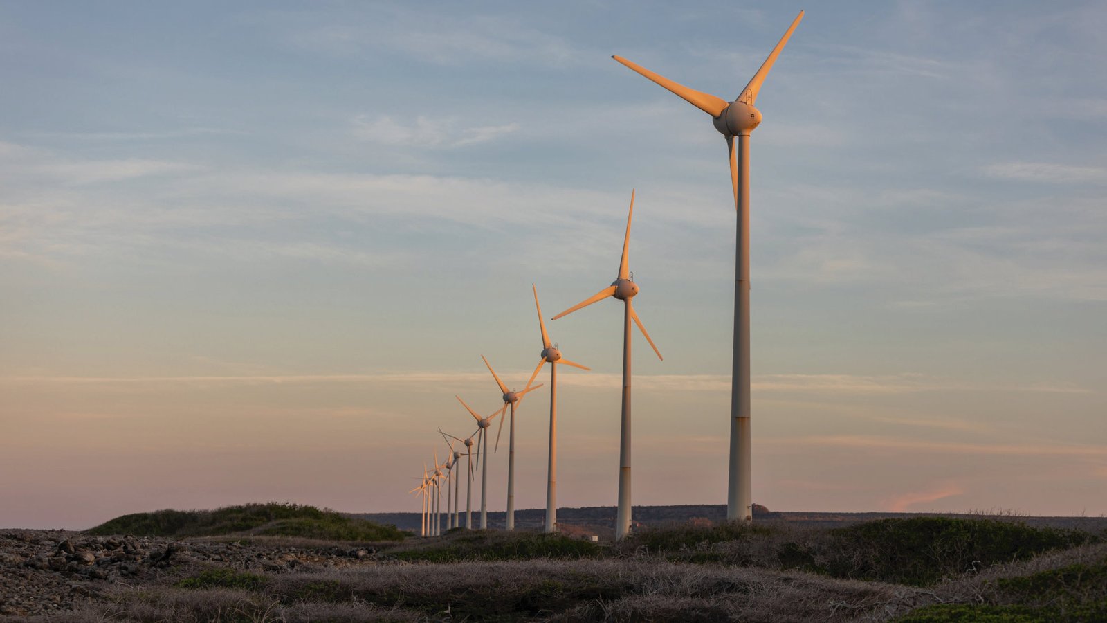 Ameresco Hires Seasoned Energy Exec to Lead Strategic Growth in Europe