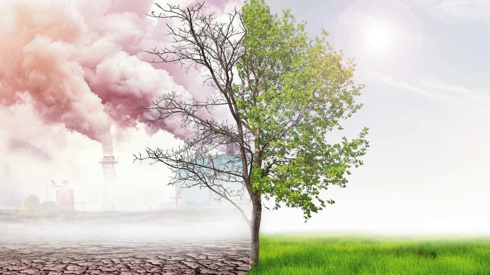 Decarbontek