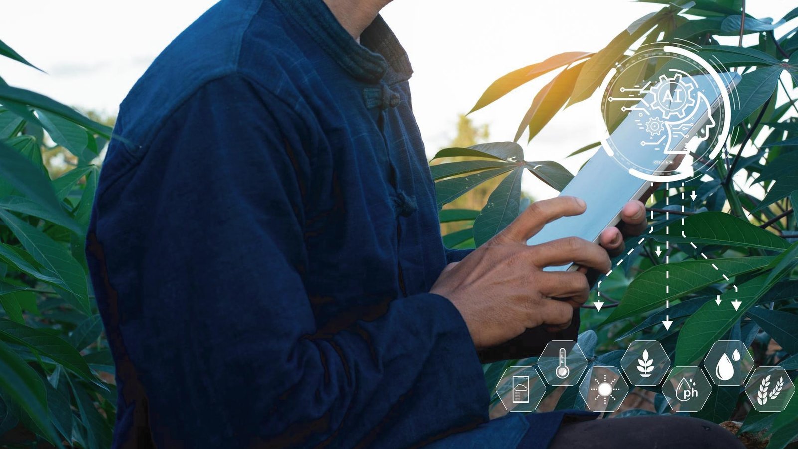 Sundance Growth Makes Significant Growth Investment into Molecule