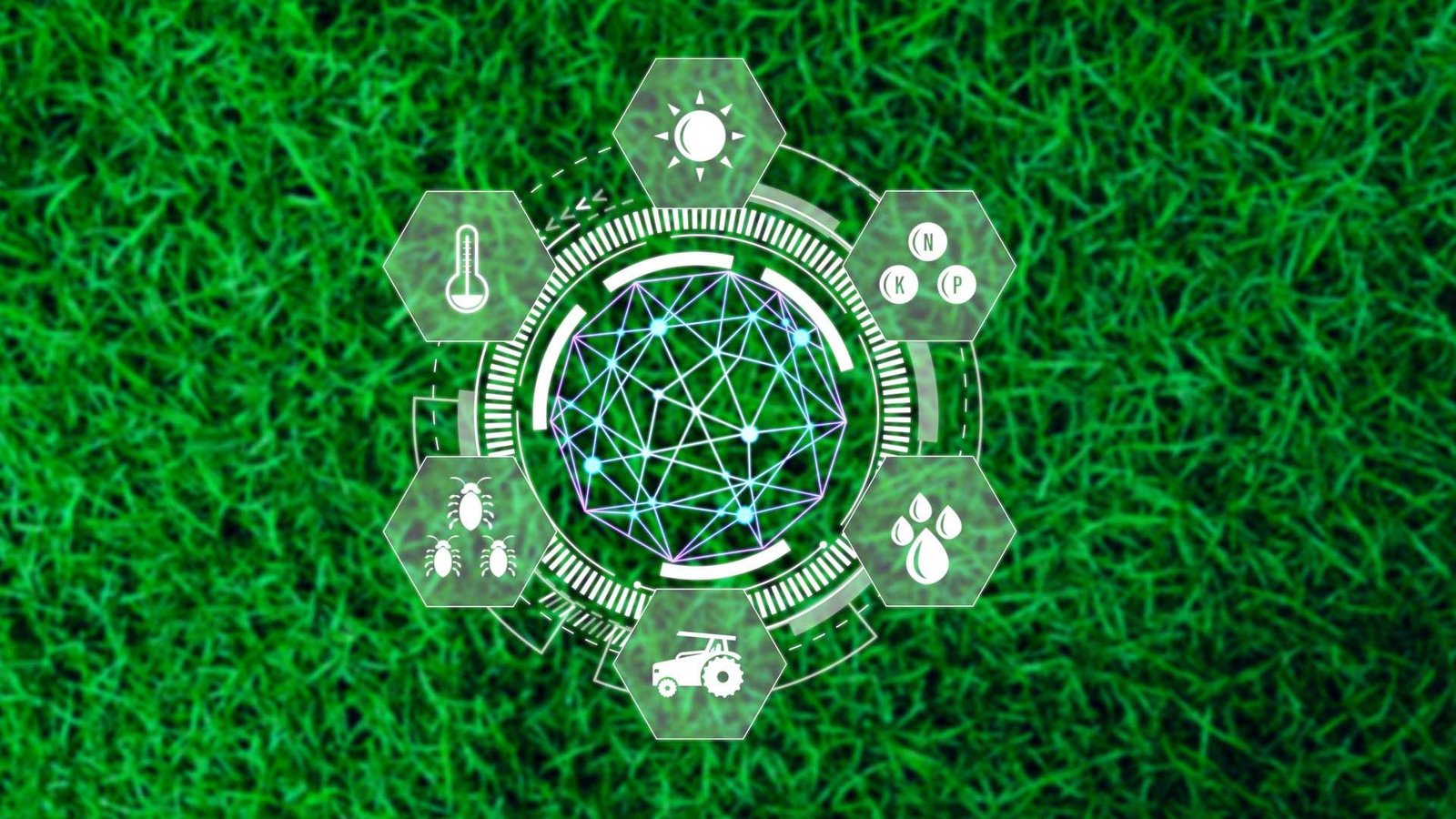 Turkcell and A10 Networks partner to virtualize carrier-grade infrastructure.