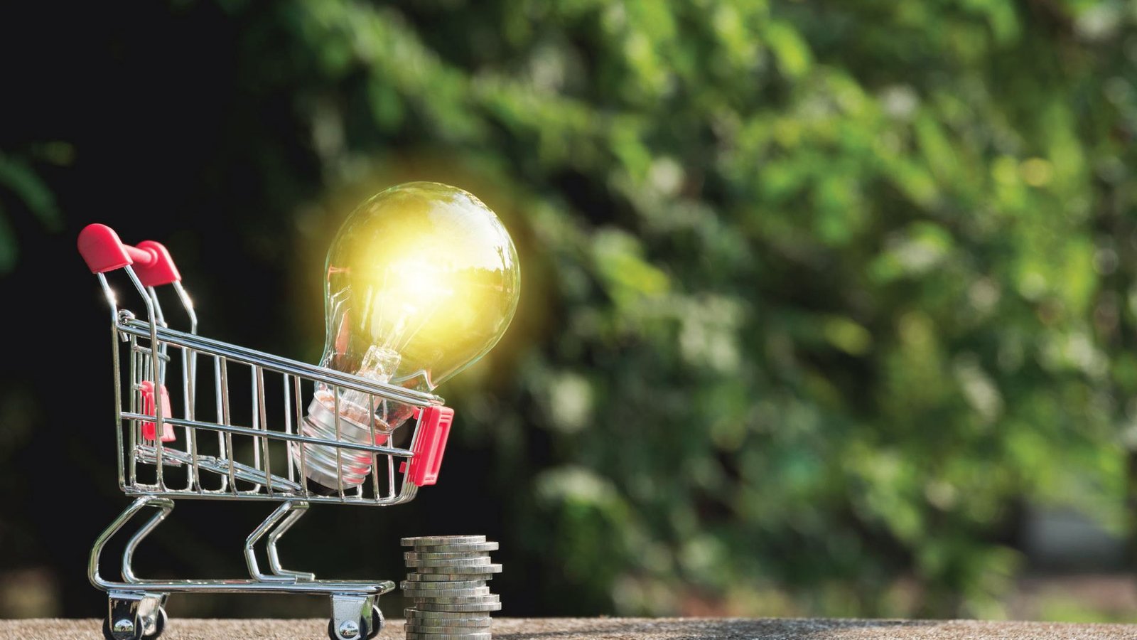 EnerPrice