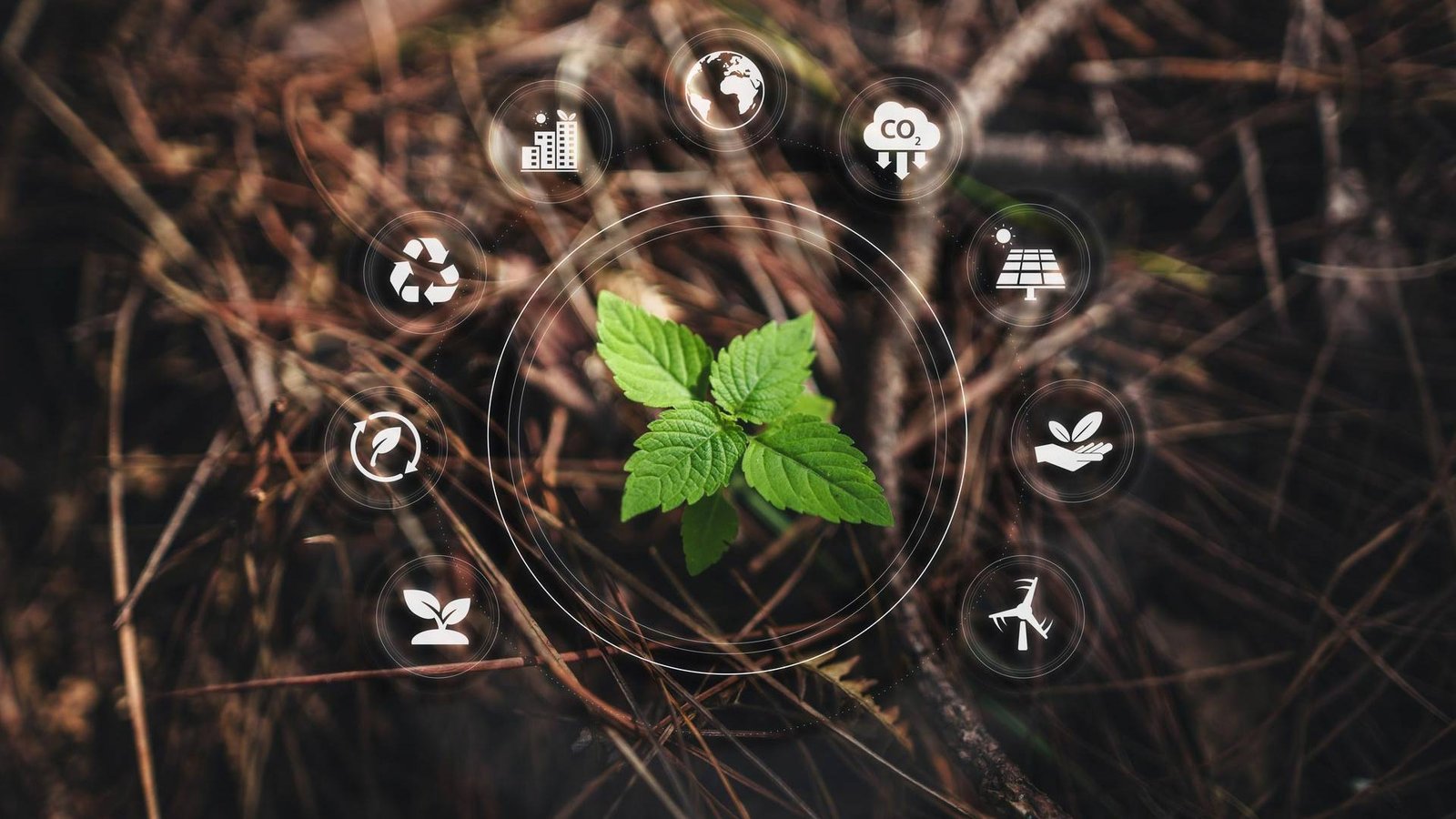 Quad-C Announces Investment in O6 Environmental