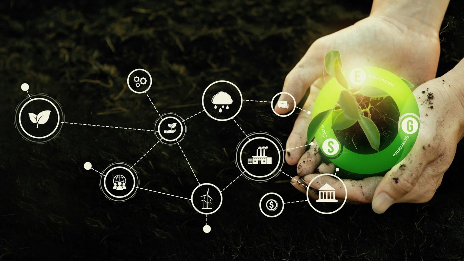 The Economic Value of Biodiversity and Ecosystem Services