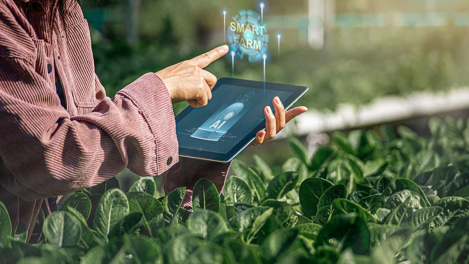 aiEDU Launches AI Literacy, Readiness Effort in Rural, Indigenous Areas