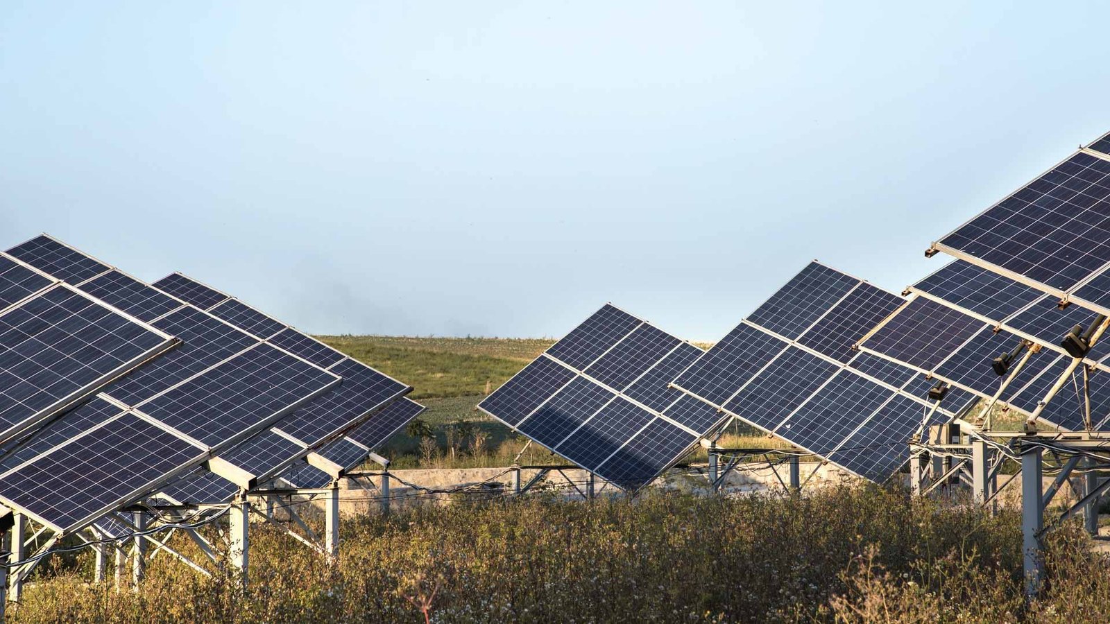 GameChange Solar Expands Into New Zealand With Dannevirke Solar Farm
