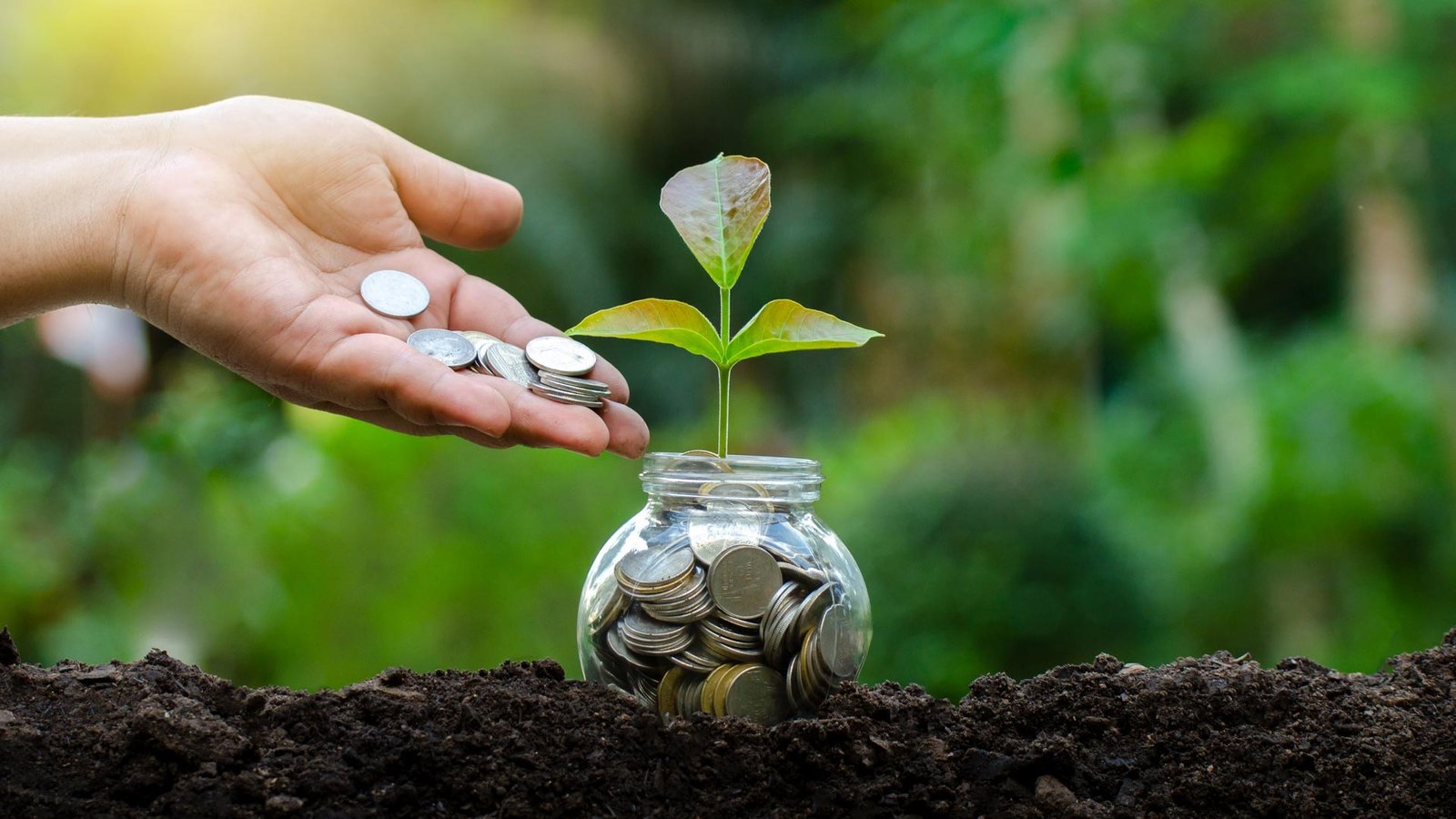 Goldcrest diversified farmland portfolio generating stable returns.