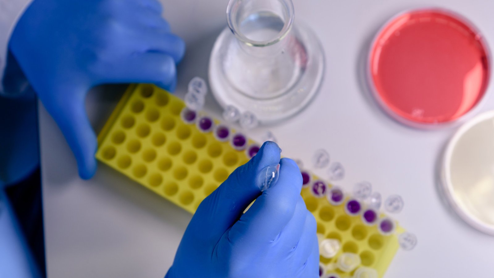 Polychim, Milliken Partner to Launch UL-Validated PP Resins in Europe