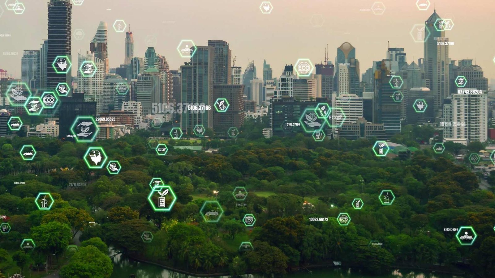 NetCarrier executive team welcomes Dan Landis as VP of Innovation.