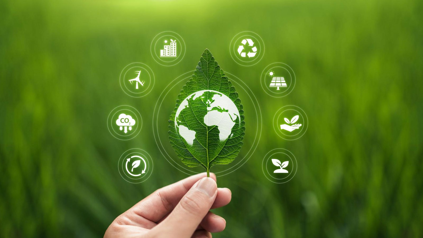 SGTM Brings Experts Together to Drive AI and Crypto with Clean Energy
