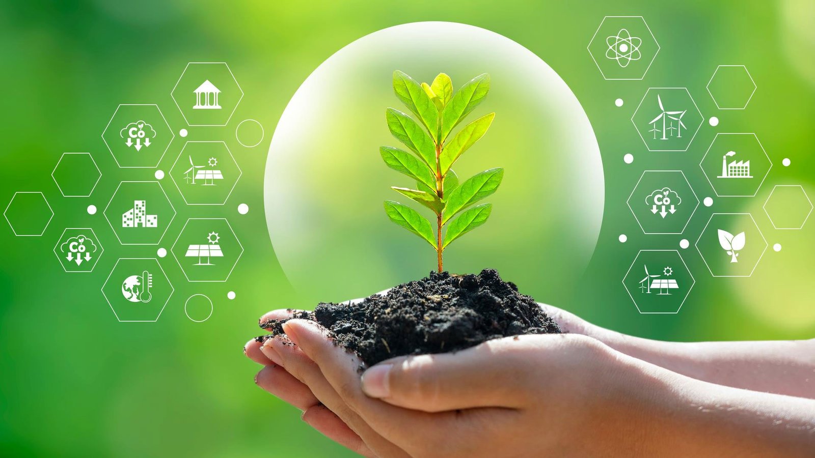 Sourgum Expands to Des Moines, Iowa