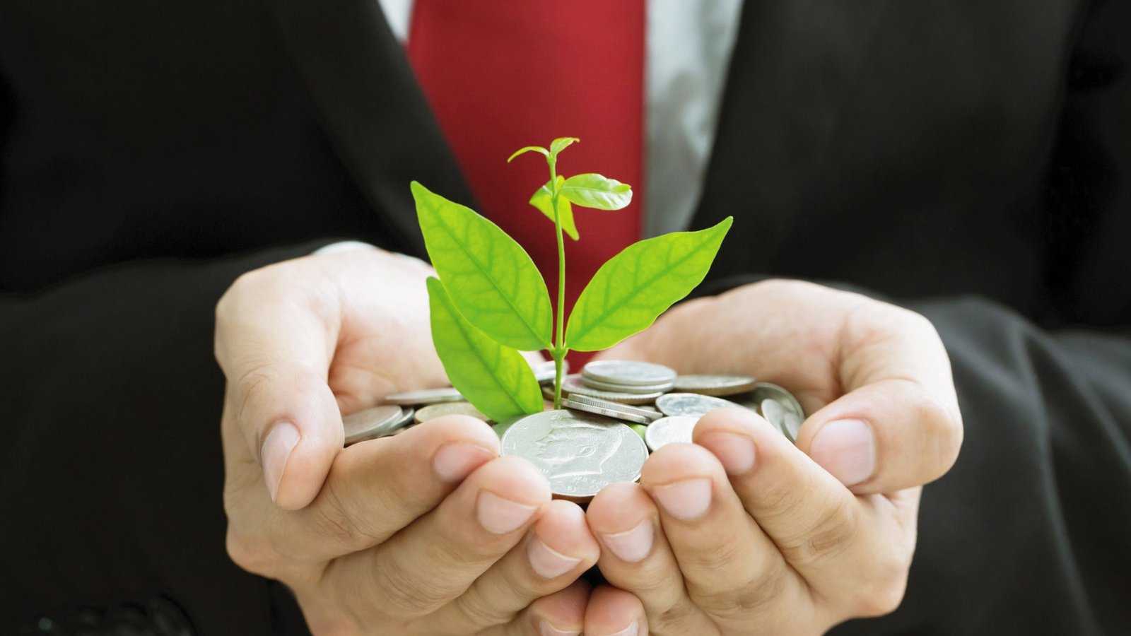 loanTERRA Launches to Make Green Lending Transparent and Fair