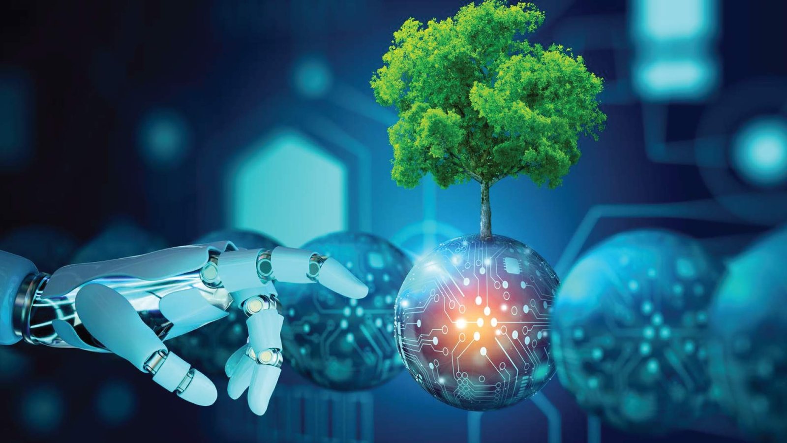 Fidium and Ciena partner up and expands wavelength services.