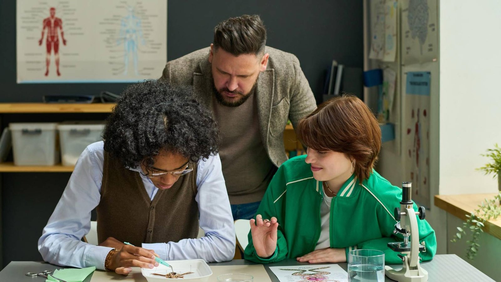 Teaching Awards Trust Launches New 'Education Insights' Series