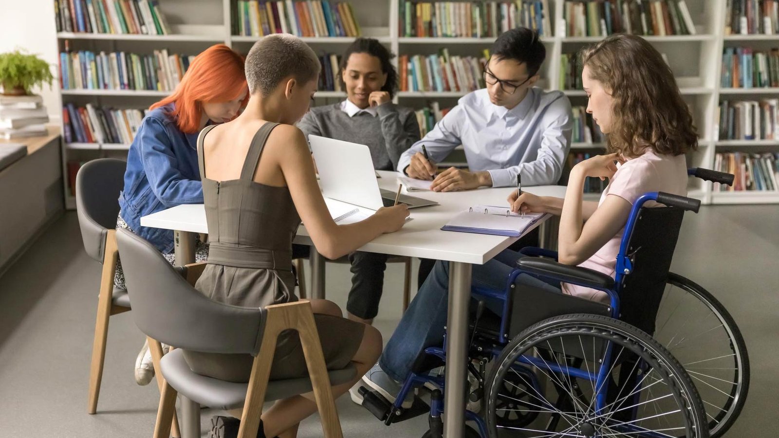 Trivest, Lunchline Launch Early Childhood Education Brands