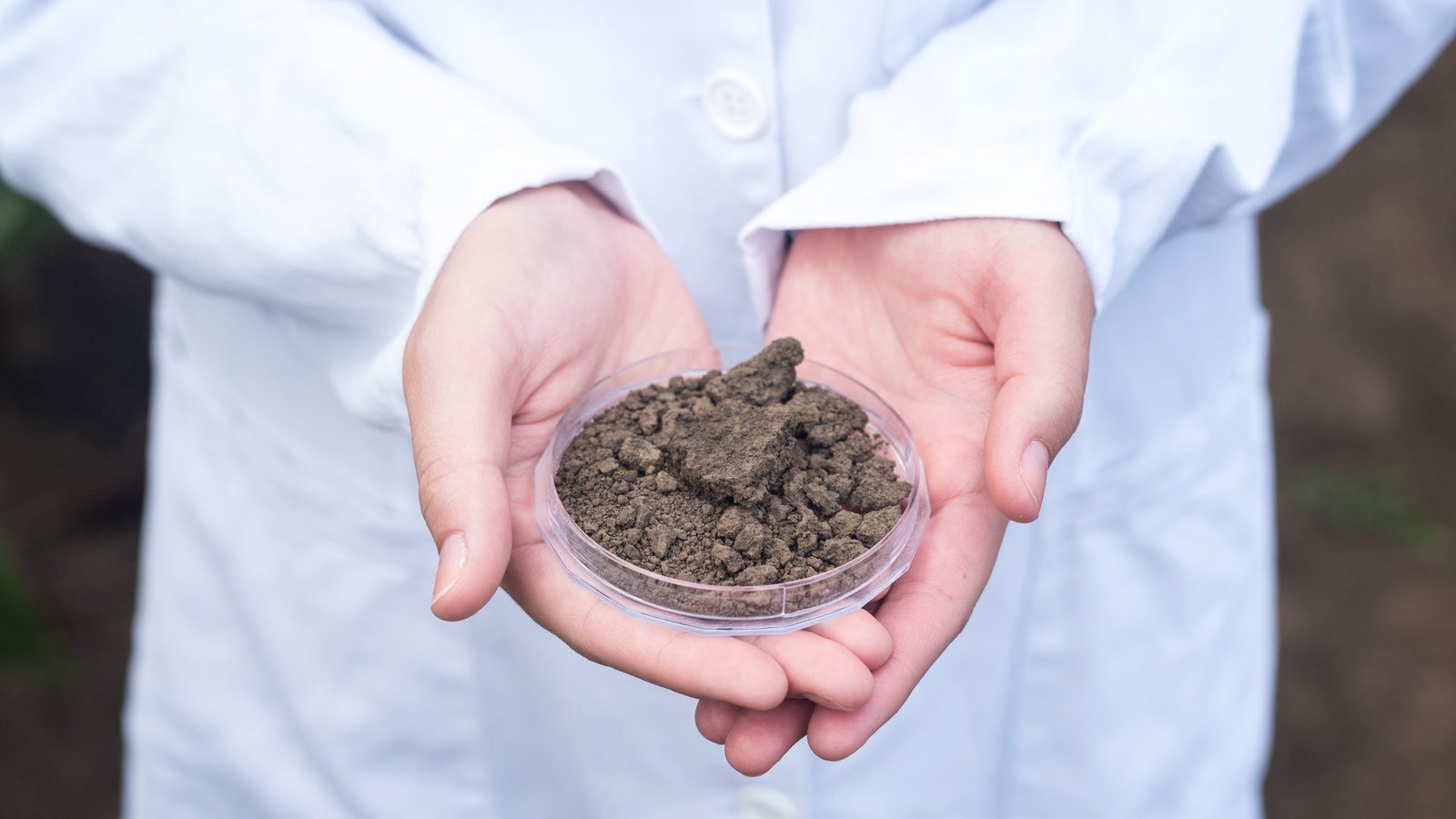 Sustainable Agriculture and Carbon Removal Techniques for Soil Health